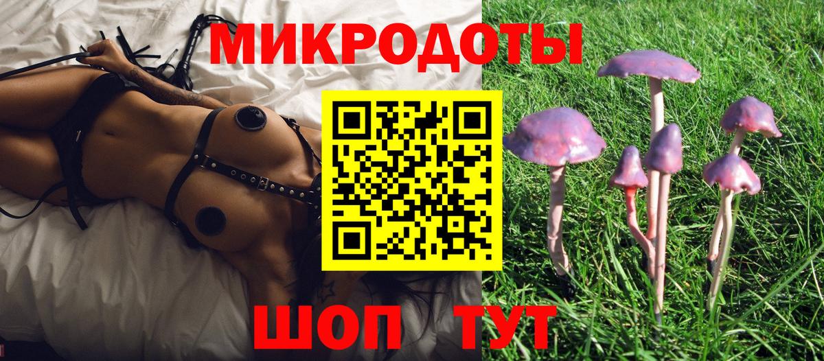 Псилоцибиновые грибы Psilocybe  Вход с VPN  Еманжелинск 