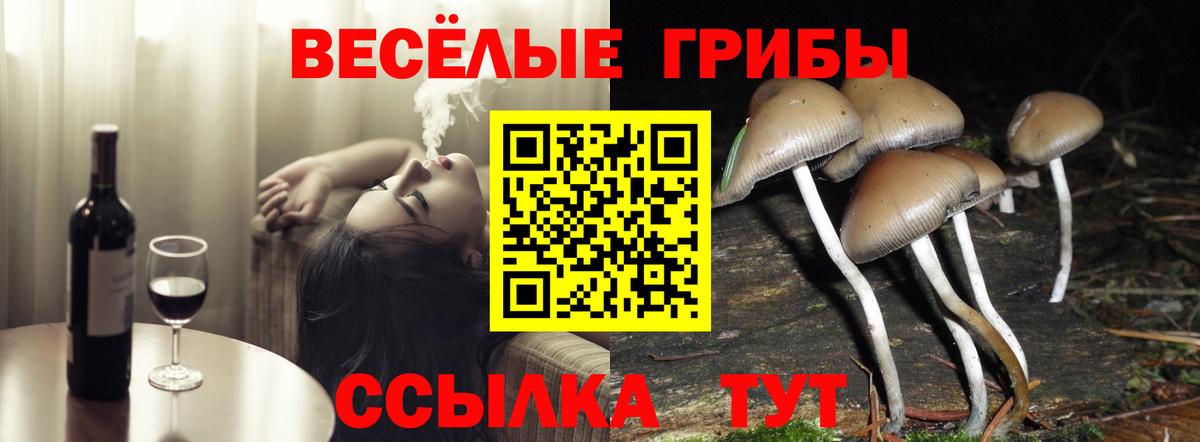 Галлюциногенные грибы GOLDEN TEACHER Еманжелинск